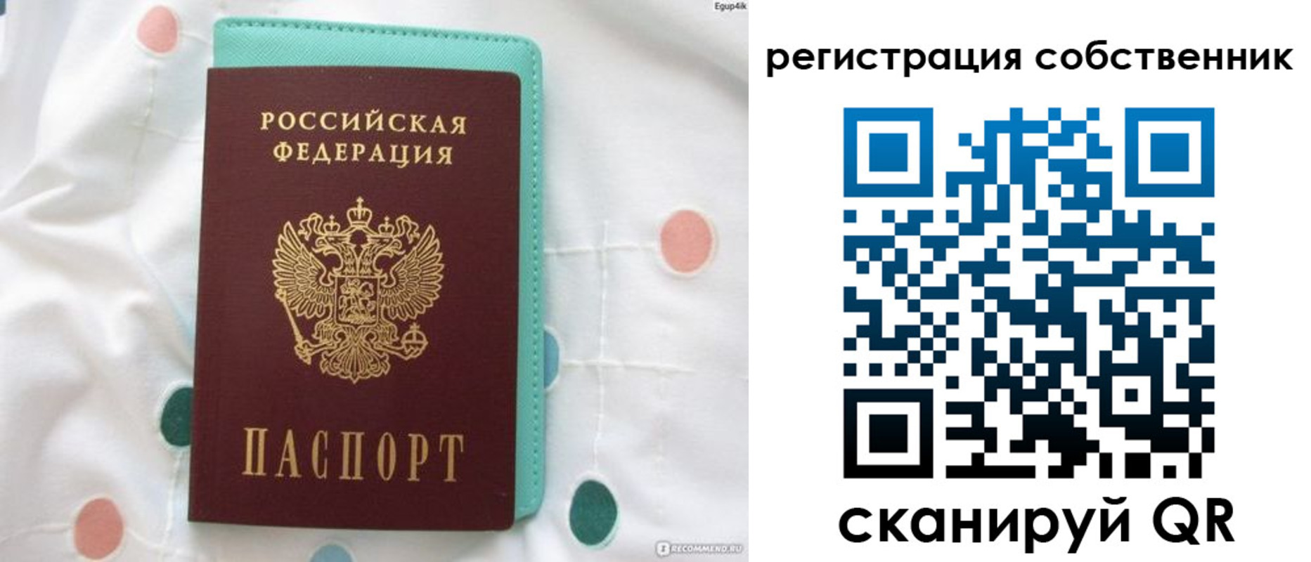 прописка для школы в Киселёвске